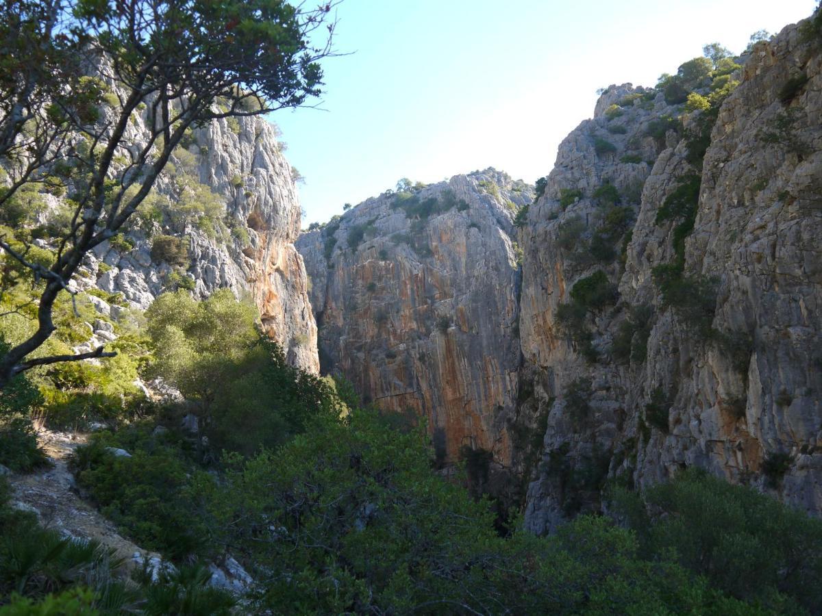 Casa Rural Guadiaro El Colmenar 外观 照片